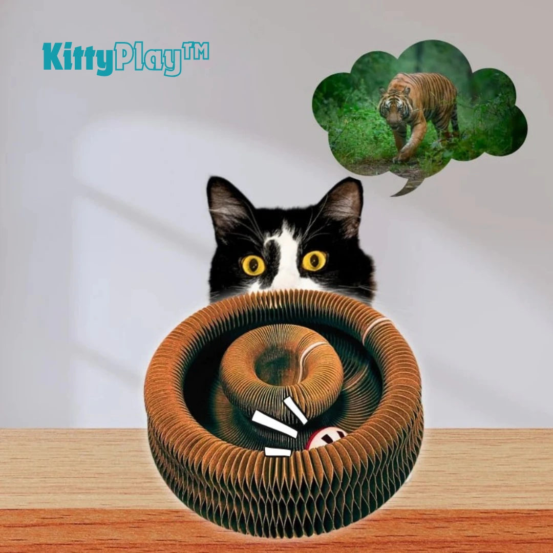 KittyPlay™ – Tunnel accordéon Interactif pour chat