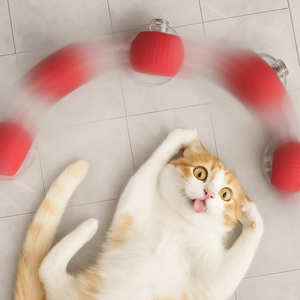 JoyBall - Balle magique interactive