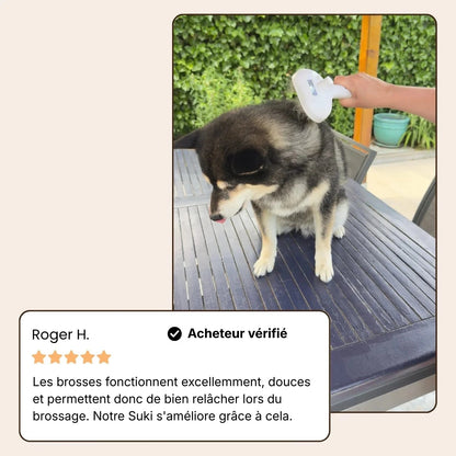 PawsBrushy® Steamy Pro - Brosse de toilettage professionnelle pour animaux de compagnie
