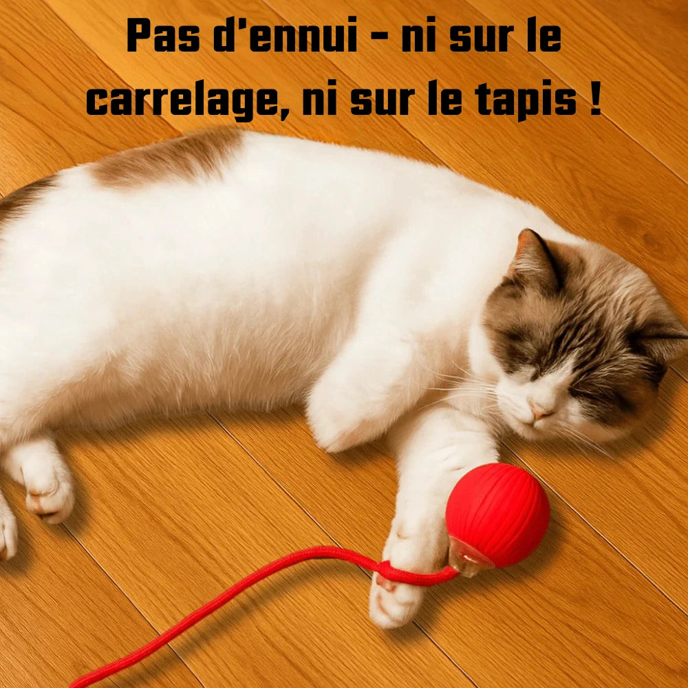 JoyBall - Balle magique interactive