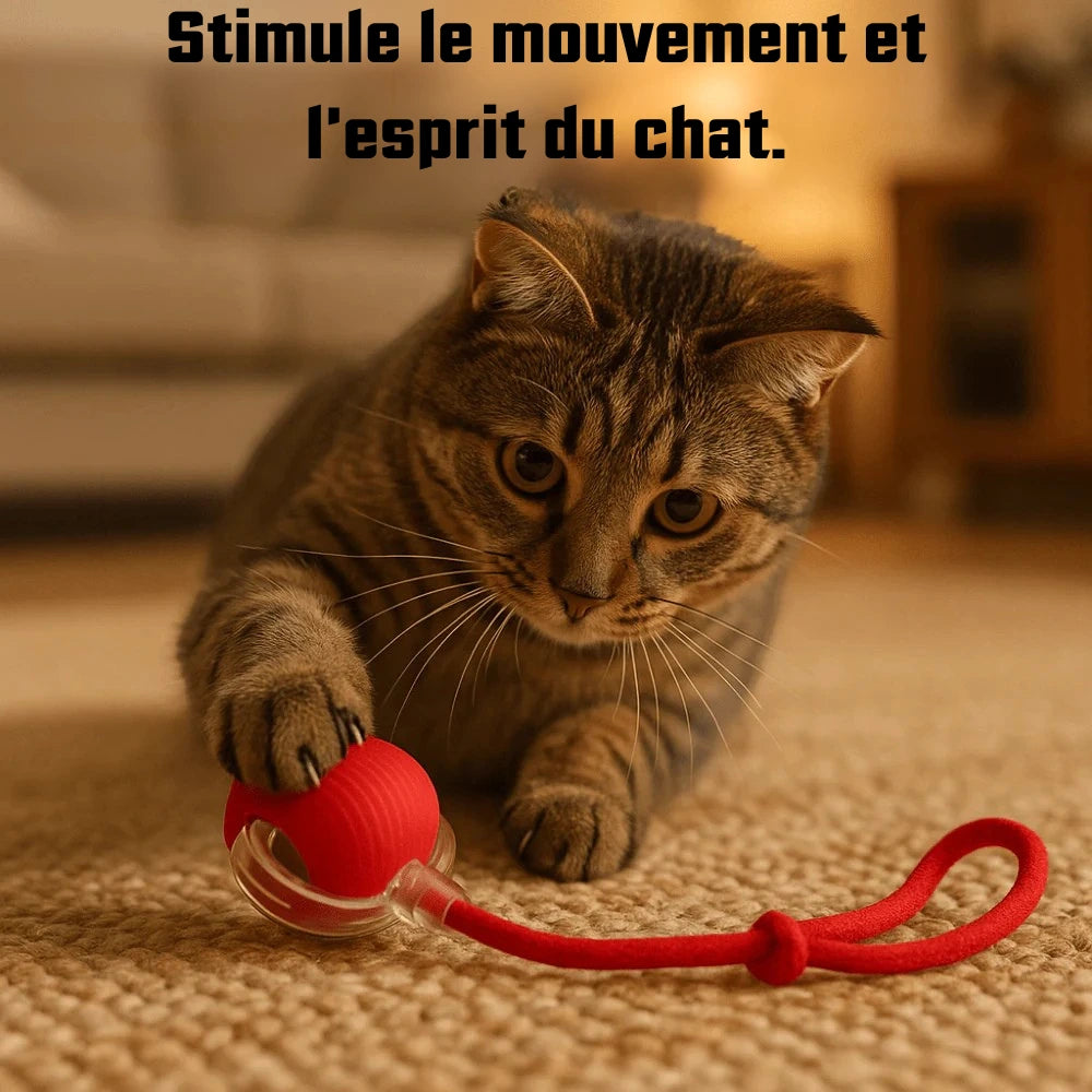 JoyBall - Balle magique interactive