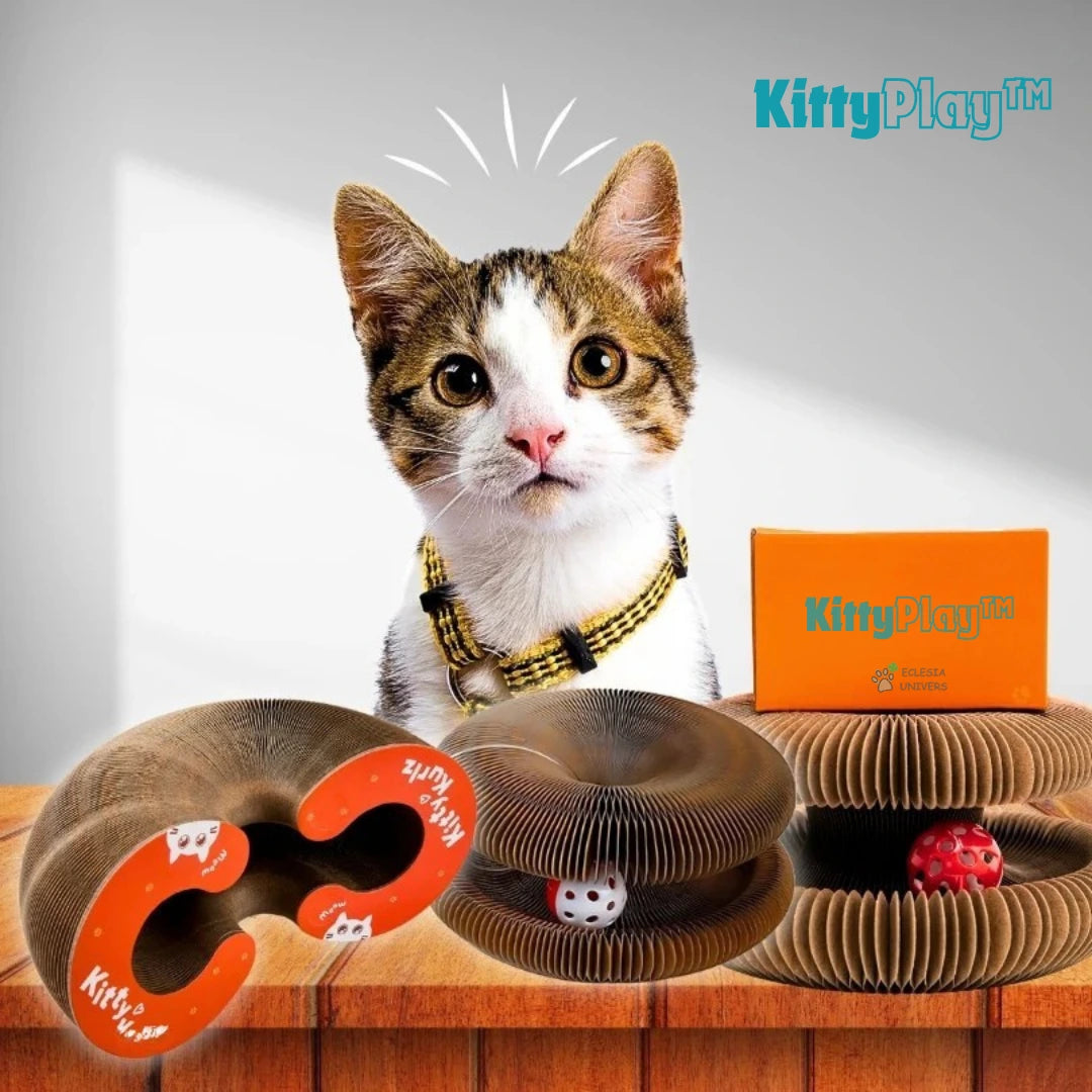 KittyPlay™ – Tunnel accordéon Interactif pour chat