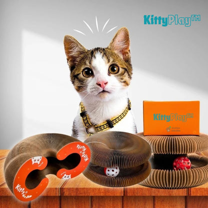 KittyPlay™ – Tunnel accordéon Interactif pour chat