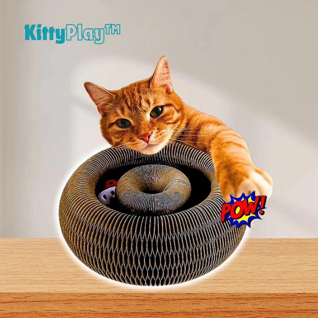 KittyPlay™ – Tunnel accordéon Interactif pour chat