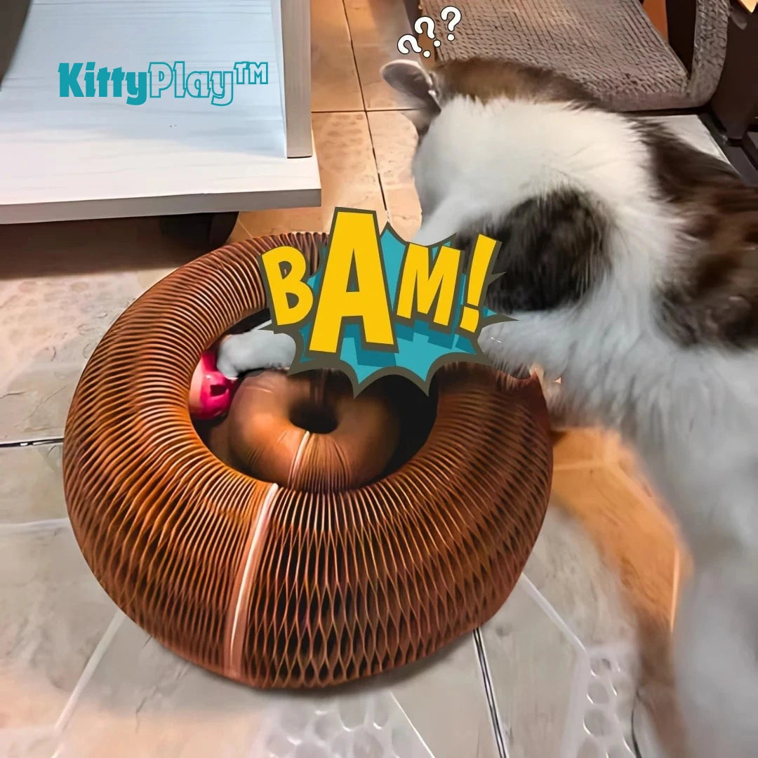 KittyPlay™ – Tunnel accordéon Interactif pour chat