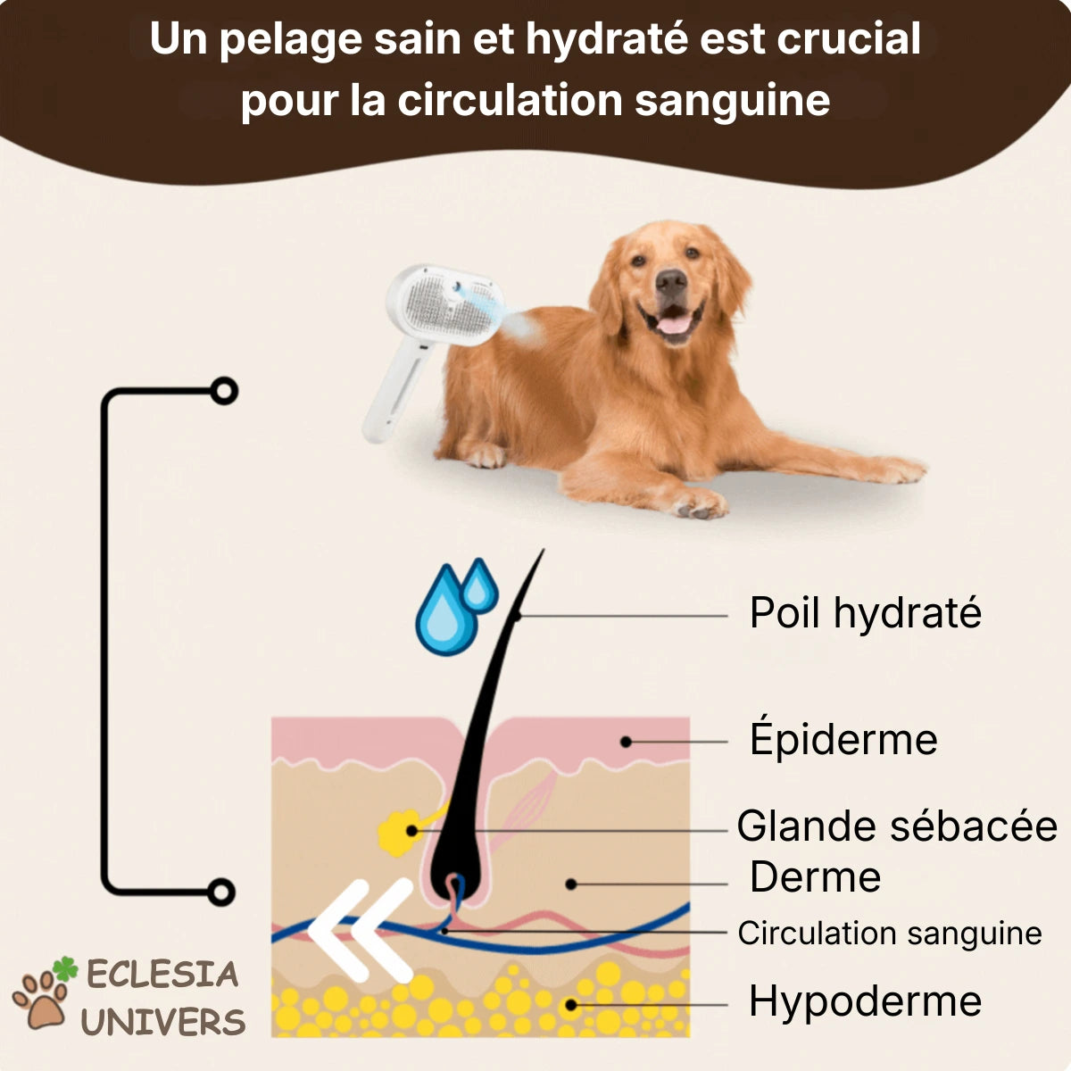 PawsBrushy® Steamy Pro - Brosse de toilettage professionnelle pour animaux de compagnie