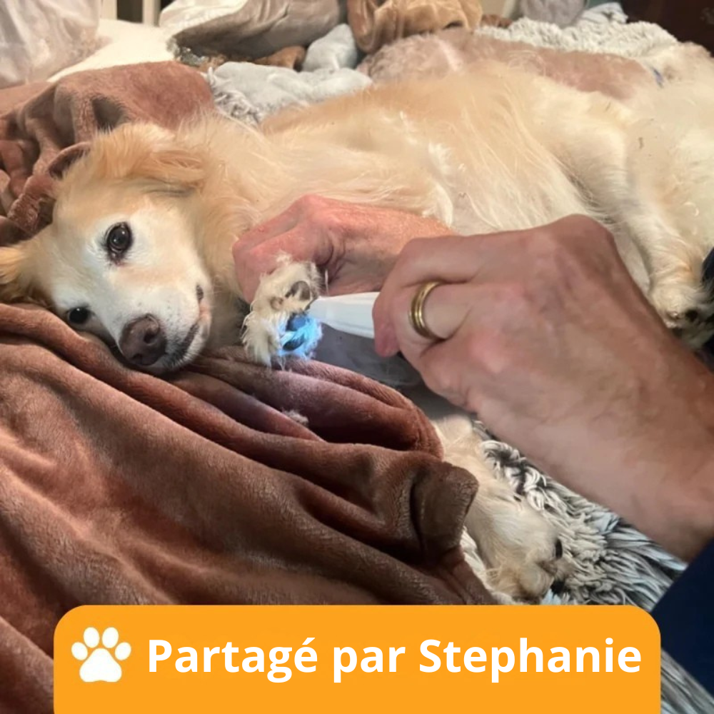 PetTrim Pro™ - Soin des pattes sans douleur en quelques secondes