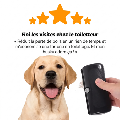 Velora™ - Fini les visites chez le toiletteur - Témoignage client 5 étoiles
