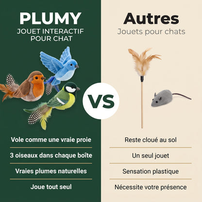 Plumy™ - Jouet oiseau volant interactif pour chat
