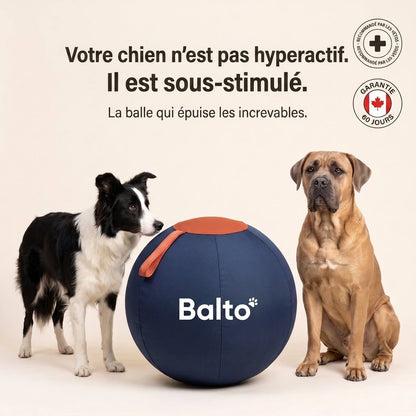 Balto™ - La balle géante qui épuise les increvables