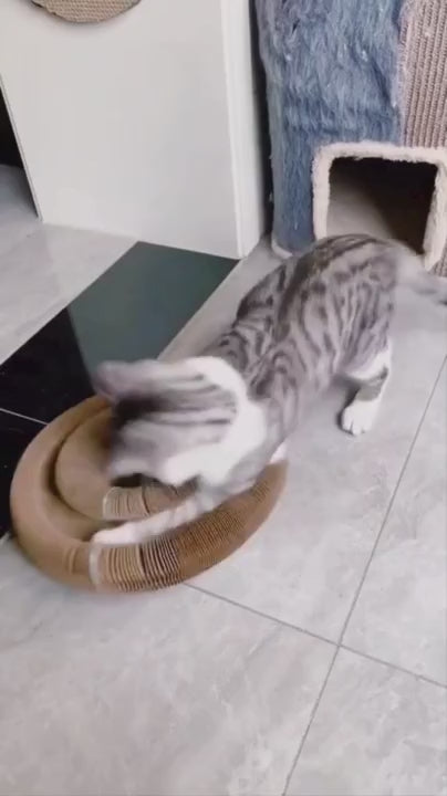 KittyPlay™ – Tunnel accordéon Interactif pour chat